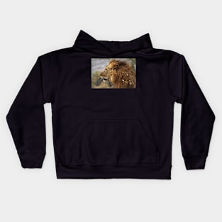 Profile Portrait, Large Male Lion #2, Maasai Mara, Kenya Kids Hoodie